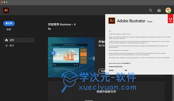 Adobe Illustrator 2024 Mac版下载